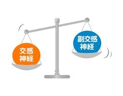 姿勢の歪みが自律神経を乱す？
